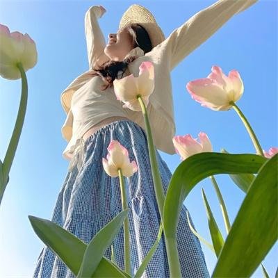 内阁作战室 第一季
